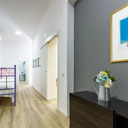 Rosa Int 3 - Myho Casa Tortoreto